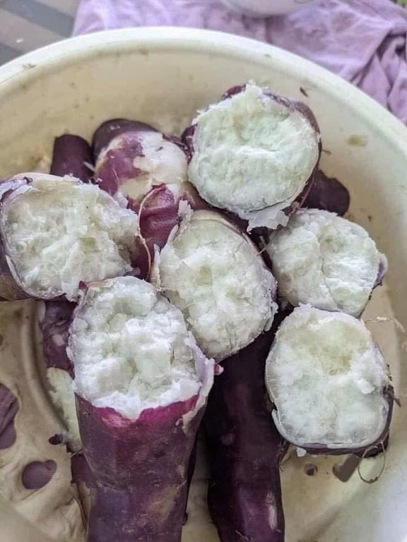 2kg khoai Lim Điện Biên