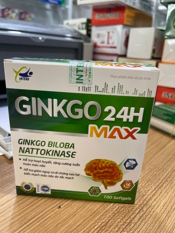 Ginko 24h h/100v