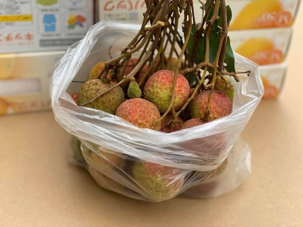 Set 5 Hộp 50 túi nilon đựng thực phẩm (sx tại Nhật)