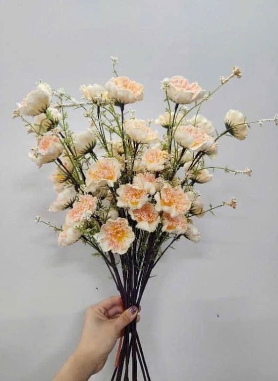 10 Hoa Trà Gạo Cổ siêu đẹp