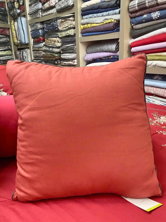 Gối tựa lưng hàng chính hãng của Everon