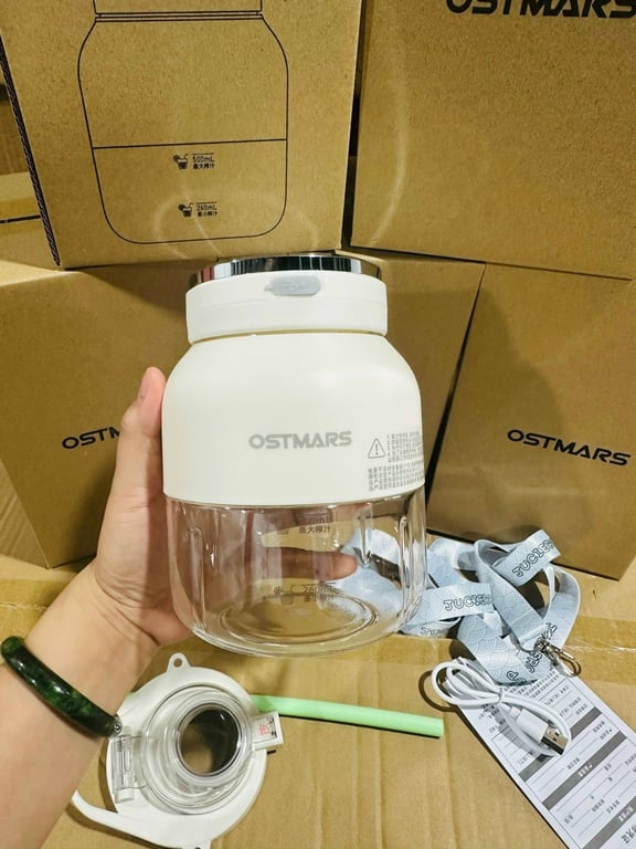 Máy xay sinh tố cầm tay Ostmart