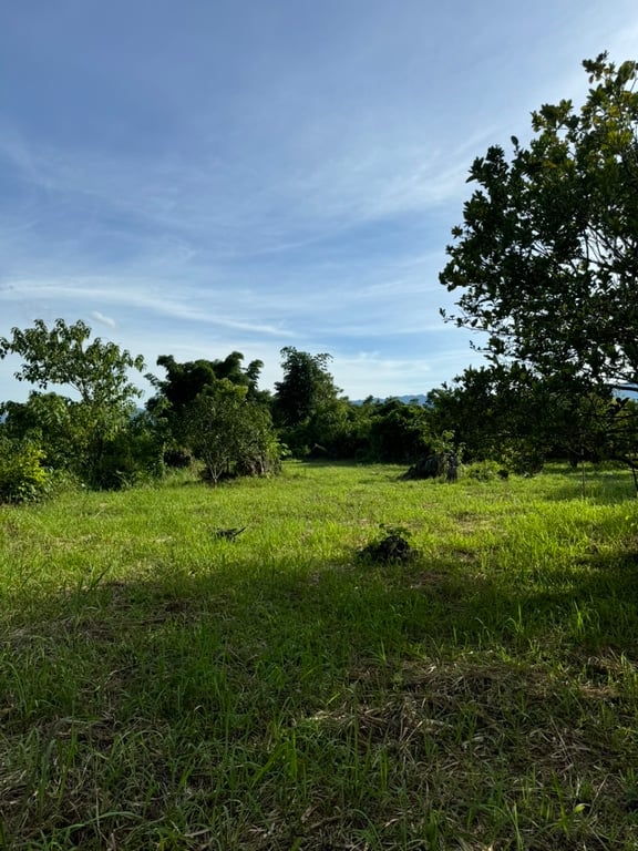 Hơn 3000m2 có 200m2 thổ cư tại thị trấn Mãn Đức, Tân Lạc, Hoà Bình