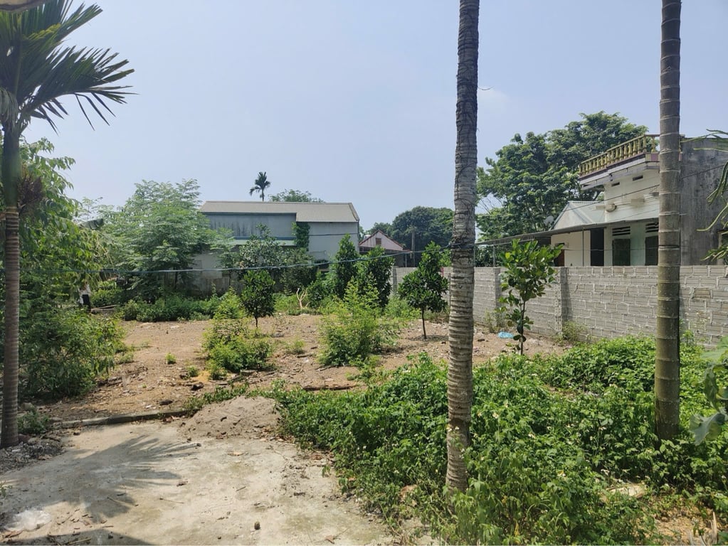 261m2, có 100m2 thổ cư tại Phú Lai, Yên Thuỷ, Hoà Bình chỉ hơn 300tr