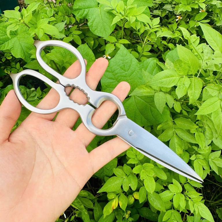 OYT694 - KÉO OYATTON XUẤT ẤN