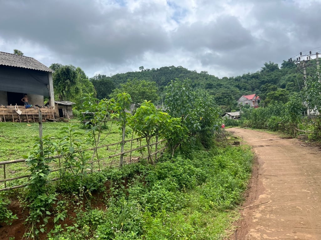 Gần 300m2 tại Suối Hoa, Tân Lạc, Hoà Bình