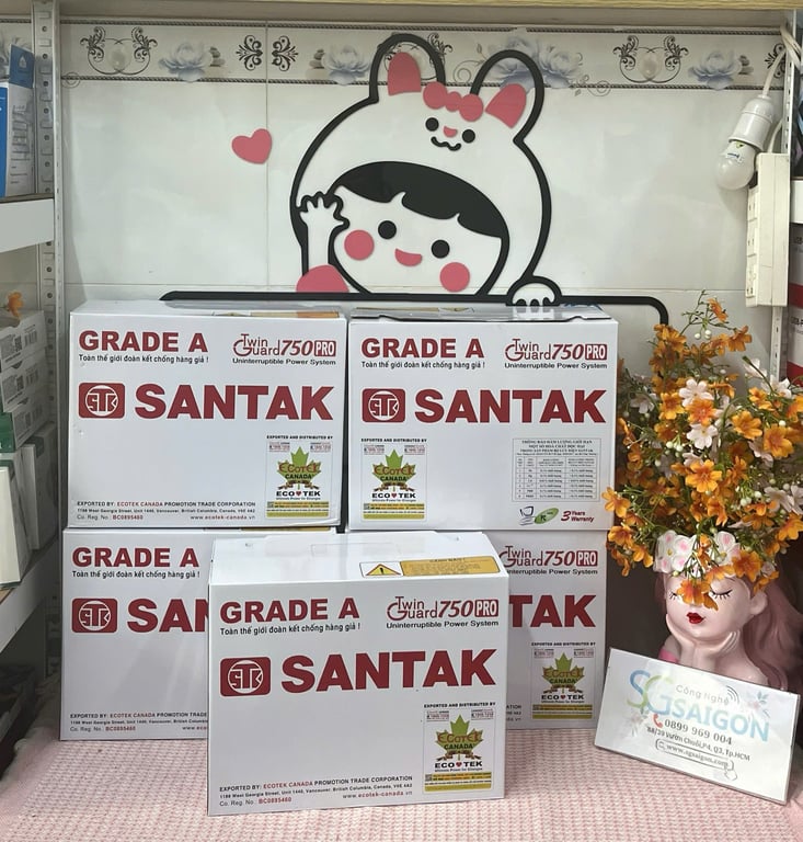 Bộ Lưu Điện UPS Offline Santak TG750 PRO (300W-750VA)