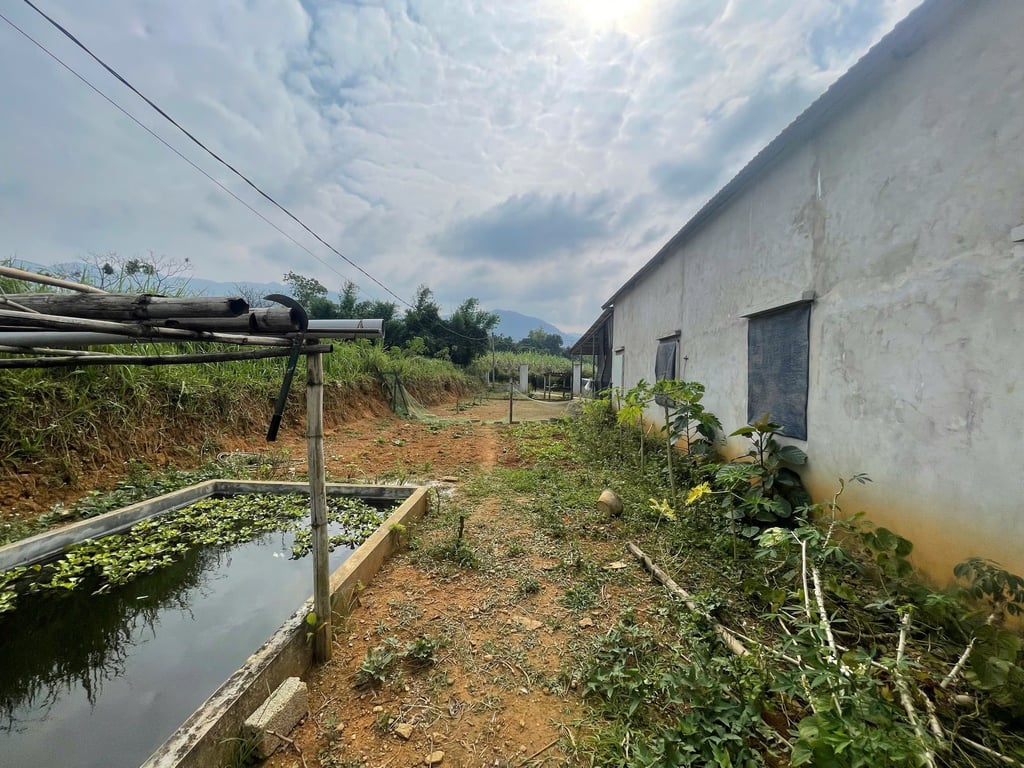 Diện tích: 617,2m2 có 423,5m2 thổ cư sẵn Nhà mới xây tại Hợp Phong, Cao Phong, Hoà Bình