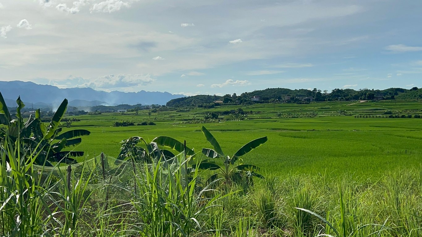 Lô đất 304m2 có 200m2 thổ cư tại Tân Lạc, Hoà Bình chỉ 299tr