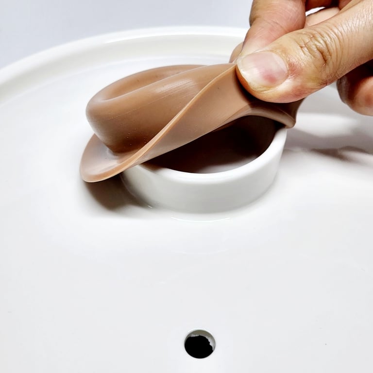 Nồi nấu chậm 3 Lít Bennix BN-30SLC