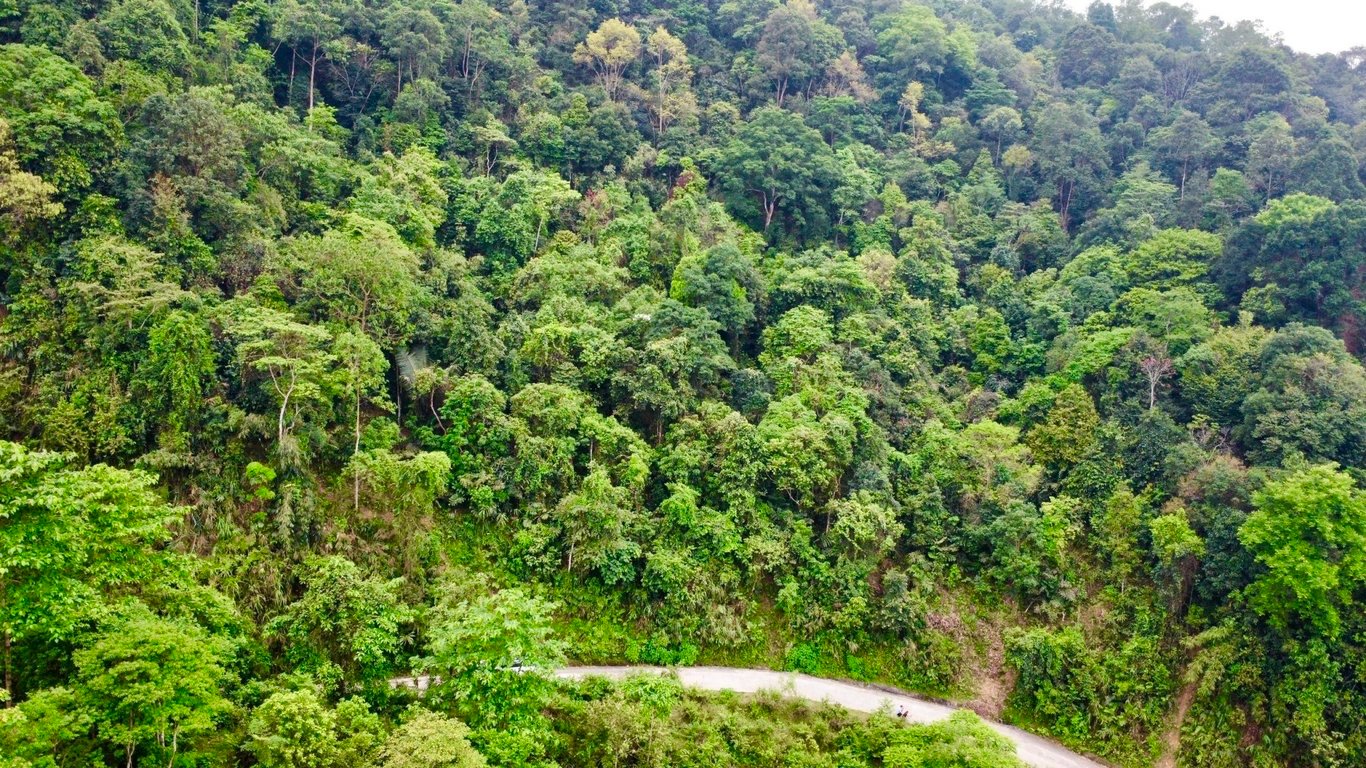 1256m2 đất rừng sản xuất tại Bản Mừng- Cao Phong- Hoà Bình