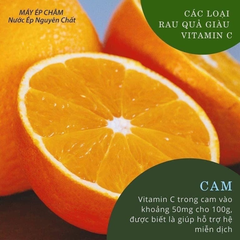 MÁY ÉP CHẬM JIPLAI JL-06 CAO CẤP