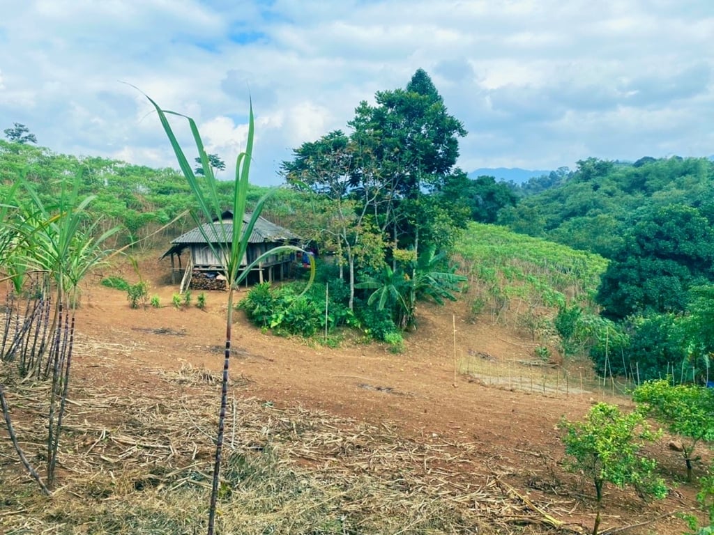 6177m2, 400m2 thổ cư tại Yên Lập, Cao Phong, Hoà Bình