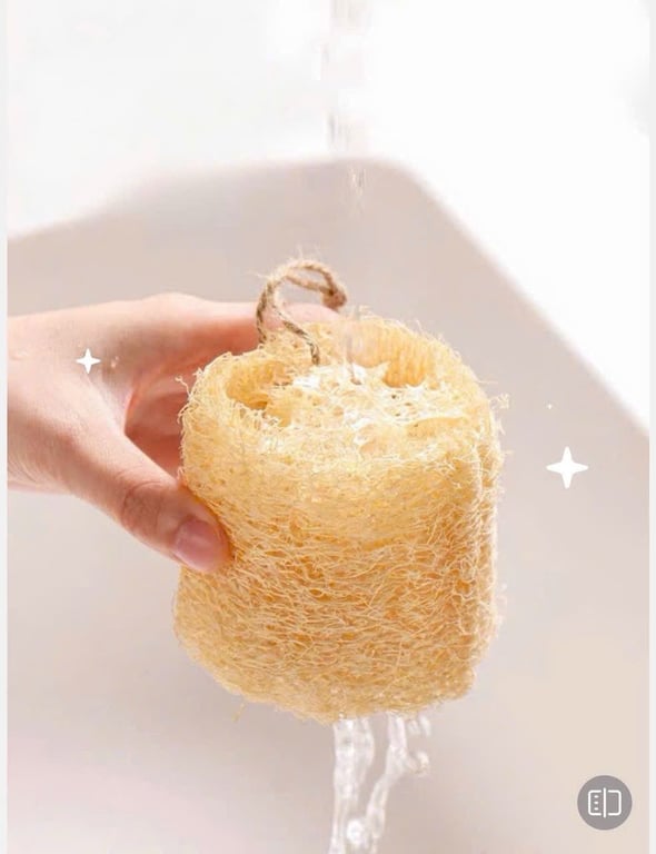 Combo 5 miếng xơ mướp khô xuất