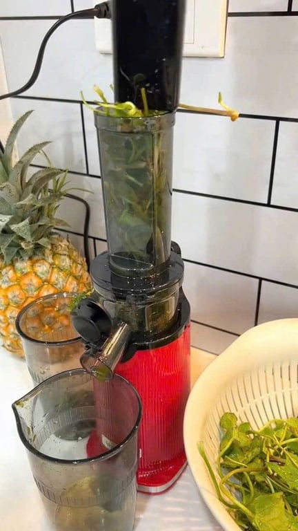 Máy ép mini Lazychef LC02ME