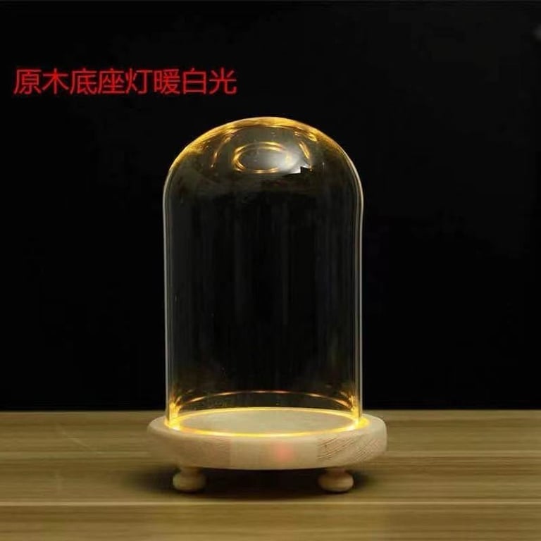 Mái vòm kính có đèn led size 12*15cm