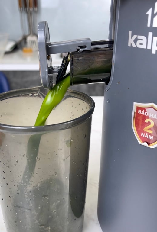 MÁY ÉP CHẬM KALPEN J6