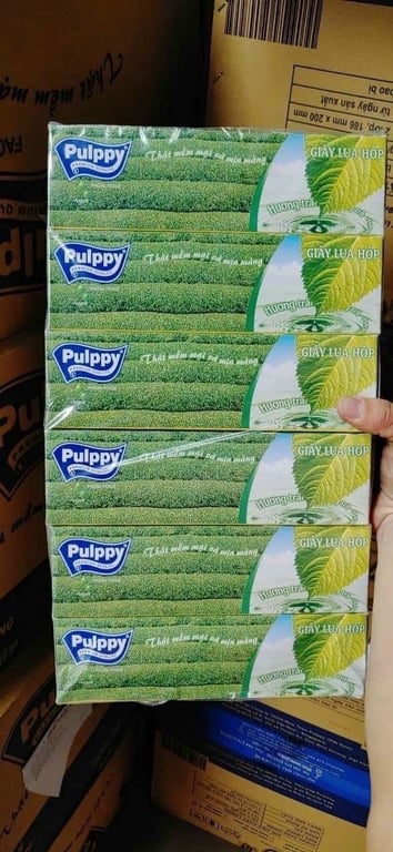 set 6 hộp KHĂN GIẤY PULPPY TRÀ XANH 100 tờ