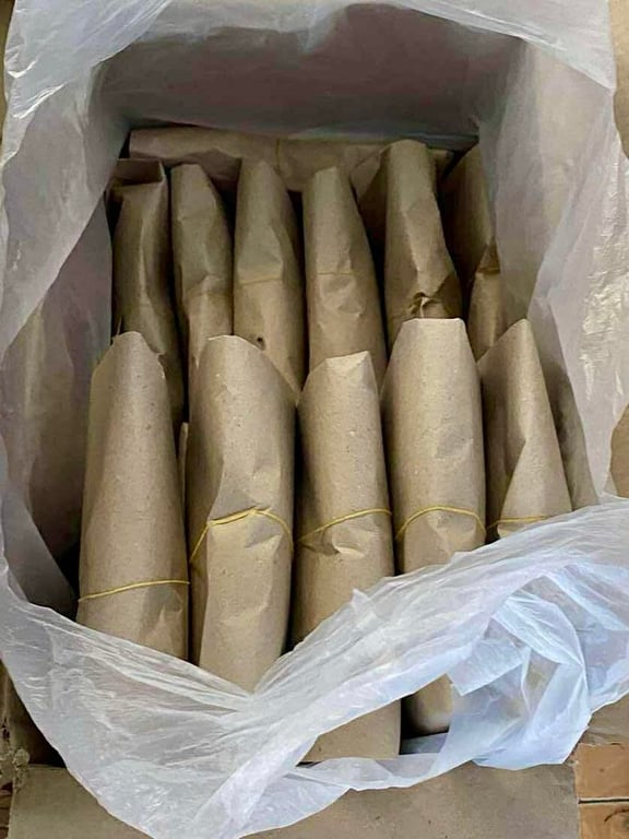 Thuốc nam xương khớp