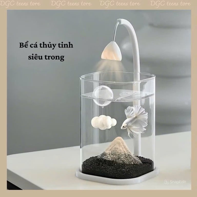 Bể cá mini để bàn