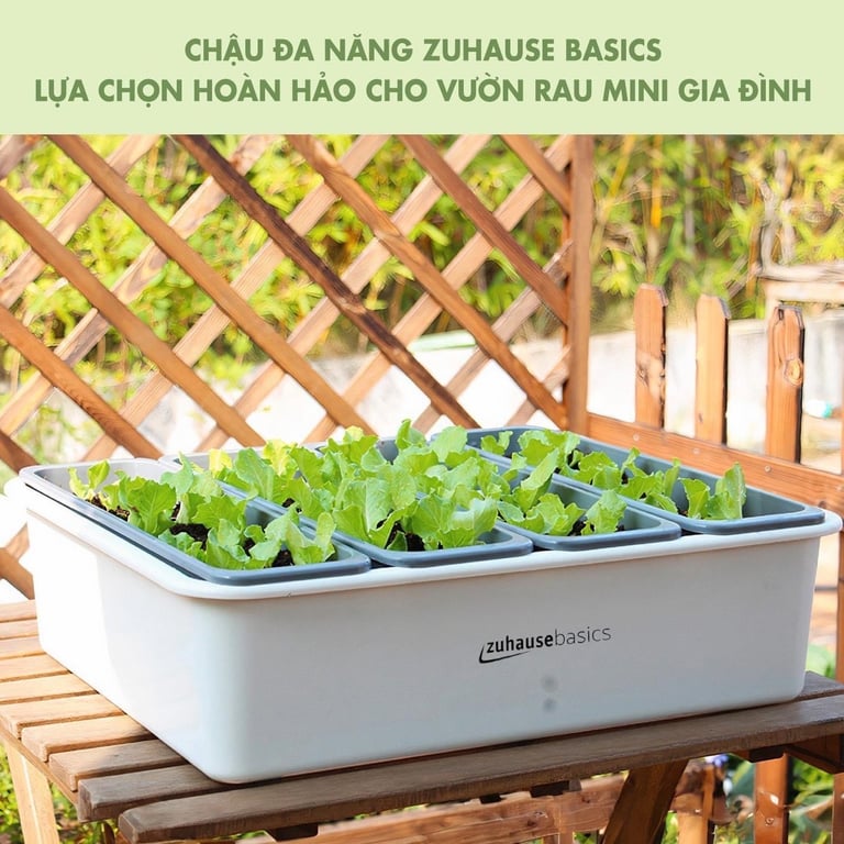 Chậu Trồng Cây Thông Minh 4 ngăn