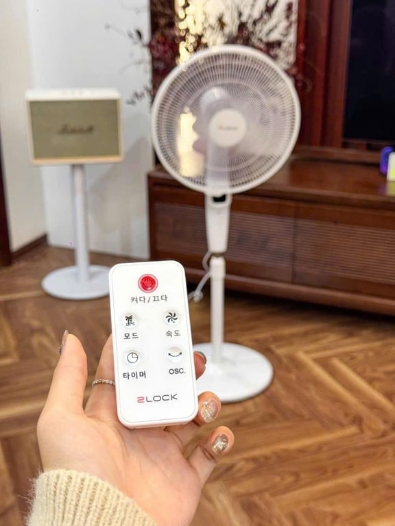 Quạt cây 2Lock🧸nội địa Hàn