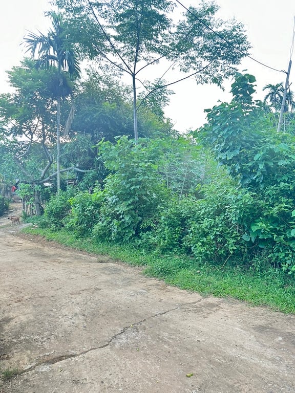 740m2 lô góc 2 mặt tiền có 200m2 ODT tại thị trấn Mãn Đức - Hoà Bình