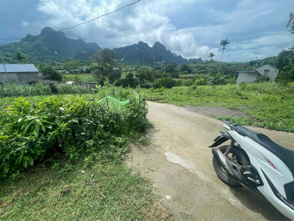 Lô góc 2 mặt đường tại Bắc Phong, Cao Phong 360m2 trong đó có 340m2 thổ cư