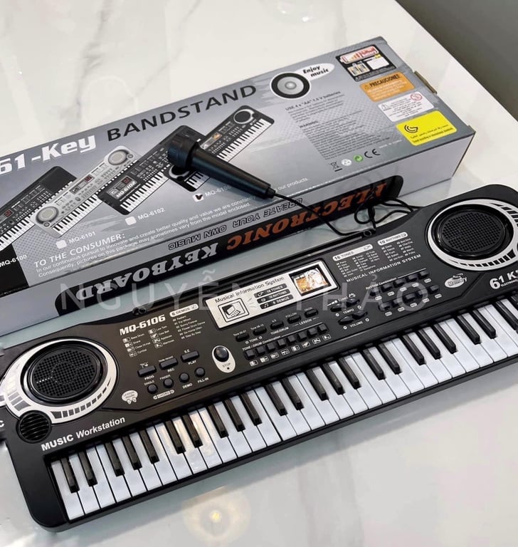 ĐÀN ORGAN CHO BÉ KÈM MIC