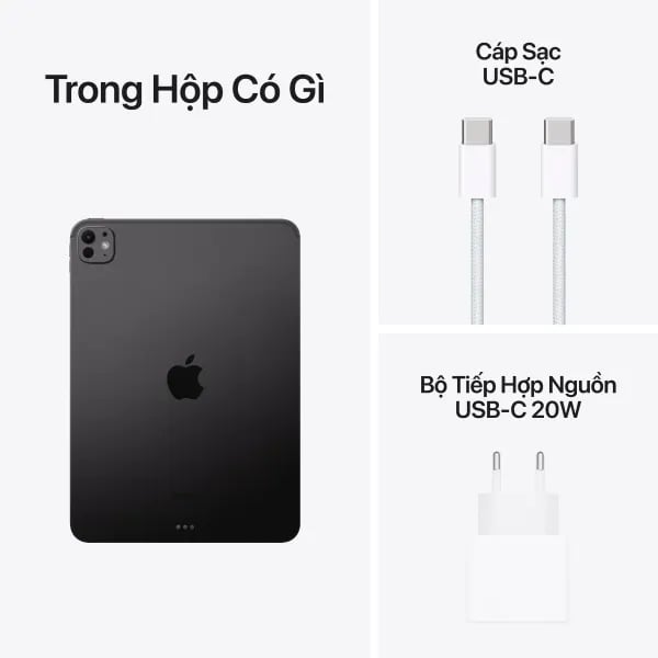 iPad Pro M4 11 inch Wifi 256GB