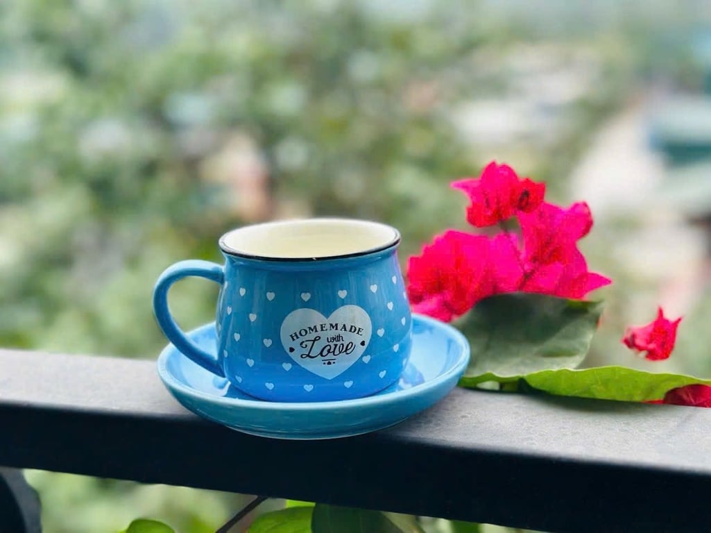 Bộ  Cốc sứ kèm đĩa cao cấp siêu xinh, dễ thương