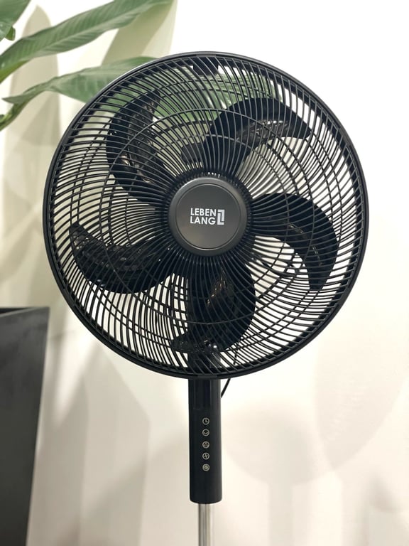 Quạt cây 5 cánh Lebenlang LBL1863 có điều khiển - Thương hiệu Đức