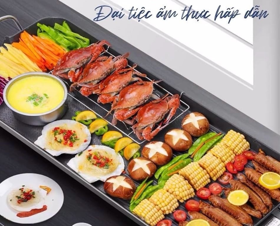 Vỉ nướng điện chống dính F019C VOGT 1500W mặt nướng lớn