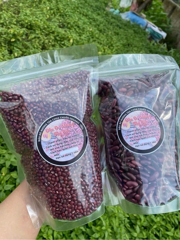 Đậu đỏ nương tủa chùa