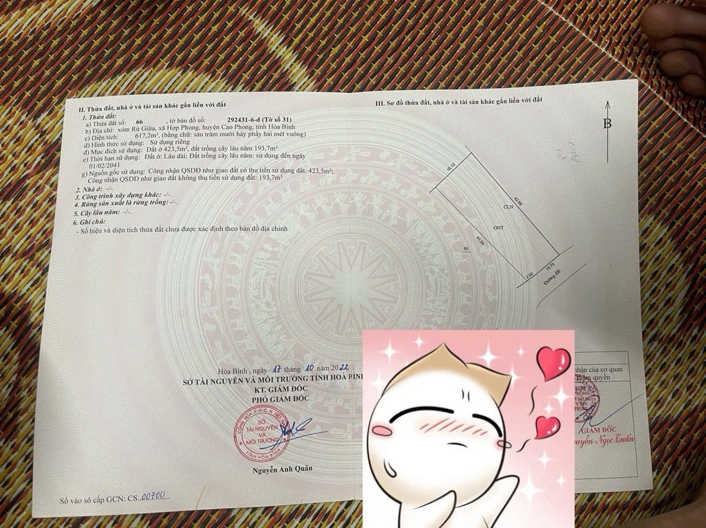 Diện tích: 617,2m2 có 423,5m2 thổ cư sẵn Nhà mới xây tại Hợp Phong, Cao Phong, Hoà Bình