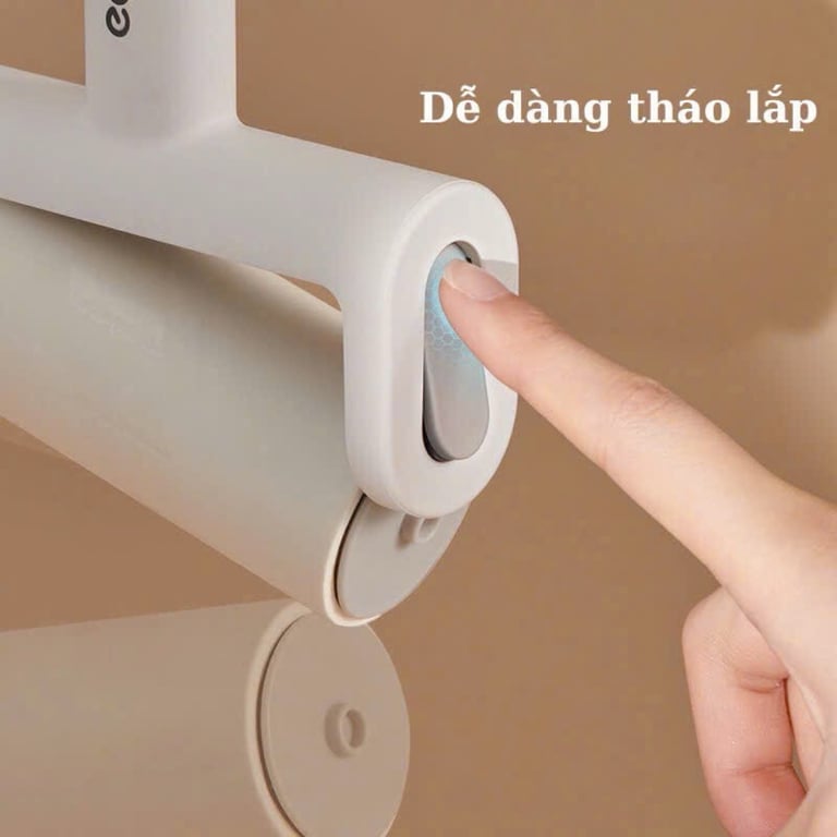 Cây Lăn Bụi ECOCO