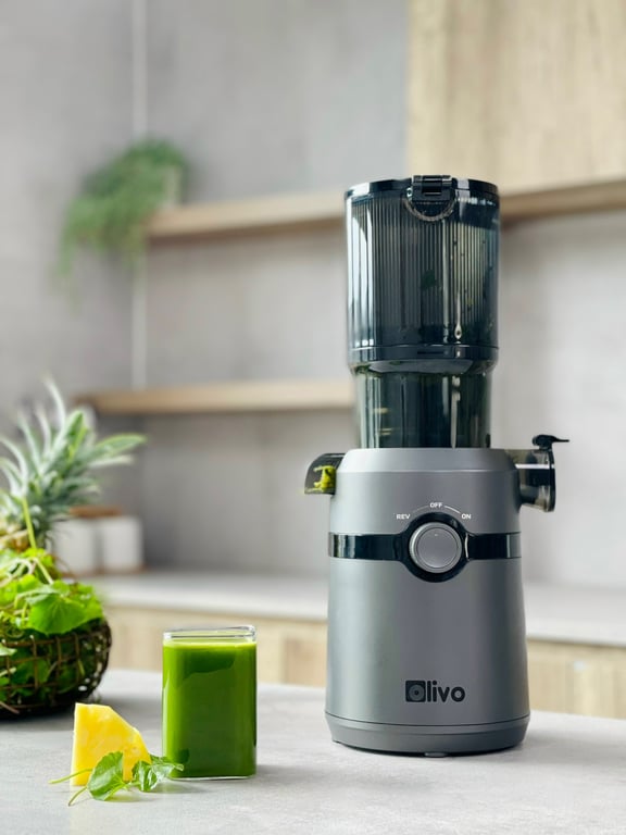 Máy ép chậm Olivo SJ240 -