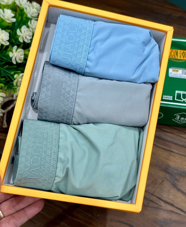 NC114 - SET 3 QUẦN LÓT NAM CAO CẤP COTTON LẠNH - CÓ HỘP ĐẸP!