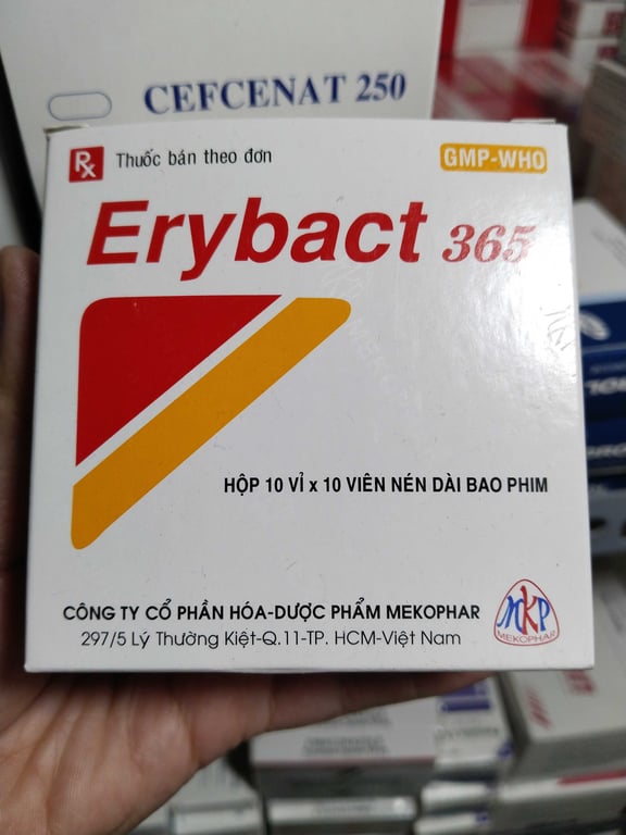 Erybact 365 h/100v nén