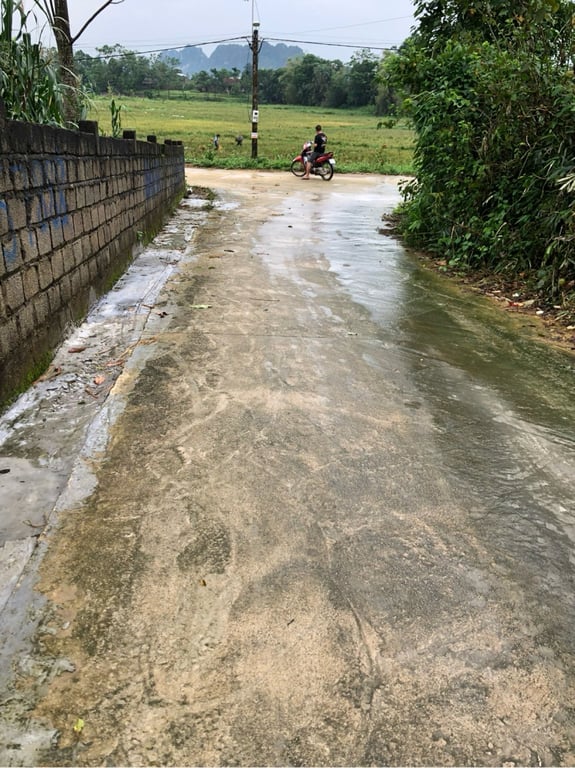 Đất Thanh Cao, Lương Sơn, Hoà Bình 154m2 full thổ cư.