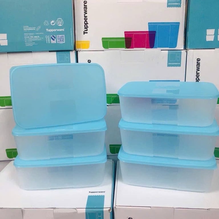 SET 6 HỘP TRỮ ĐÔNG TUPPERWARE 1.7L