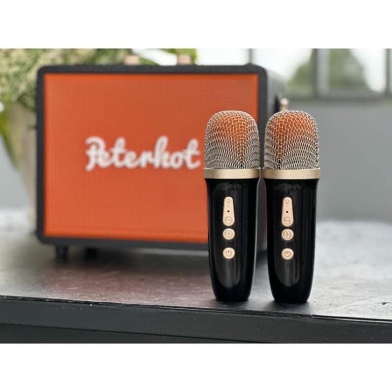 LOA BLUETOOTH NGHE NHẠC KHÔNG DÂY TẶNG KÈM 2 míc cực đã !!