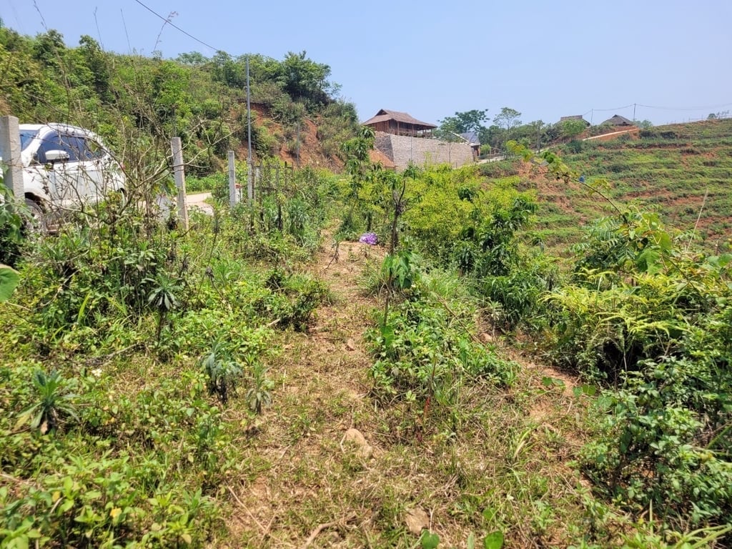 xóm Mừng, Cao Phong, Hòa Bình (2500m2)