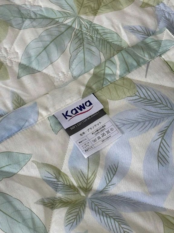 Ga chần bông có bo chun, kèm 2 vỏ gối (50x70cm)