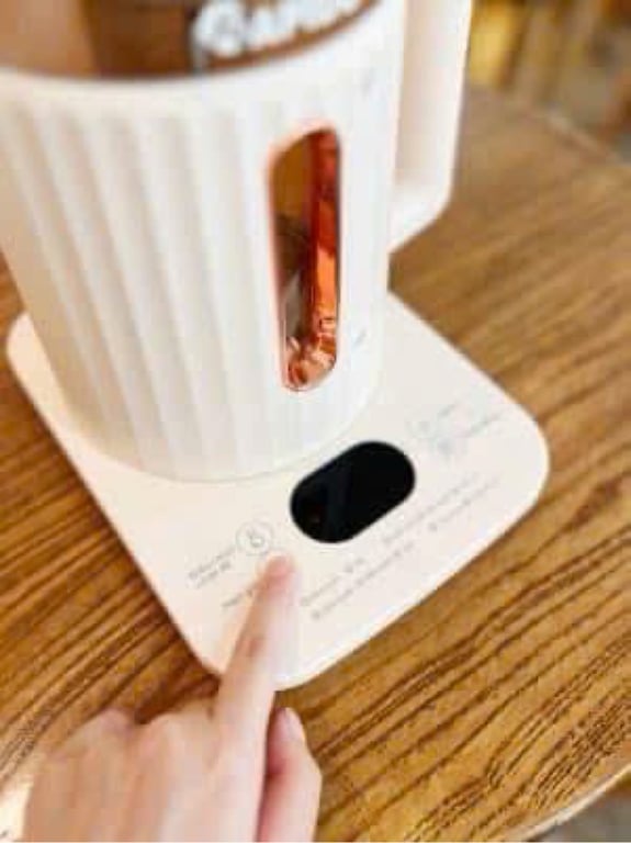 10 CHỨC NĂNG - ẤM ĐIỆN ĐA NĂNG RAPIDO RMK0818 – P