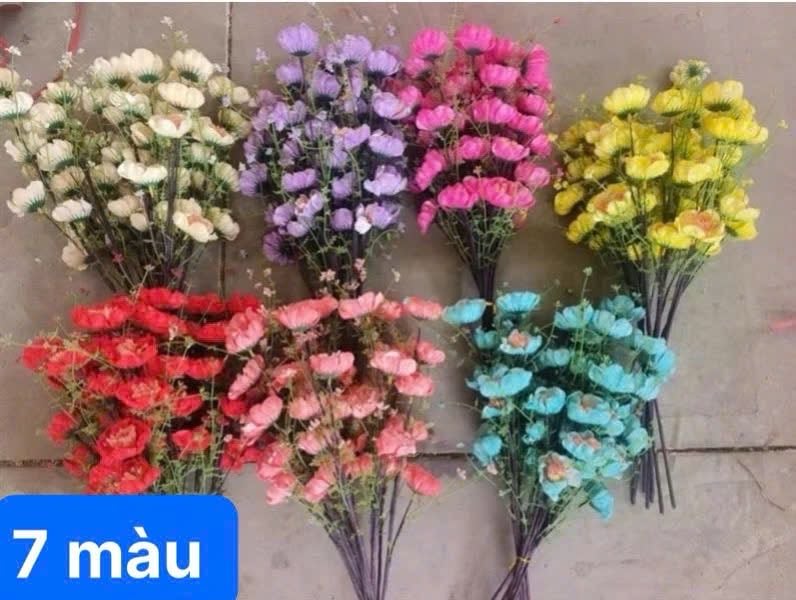 10 Hoa Trà Gạo Cổ siêu đẹp