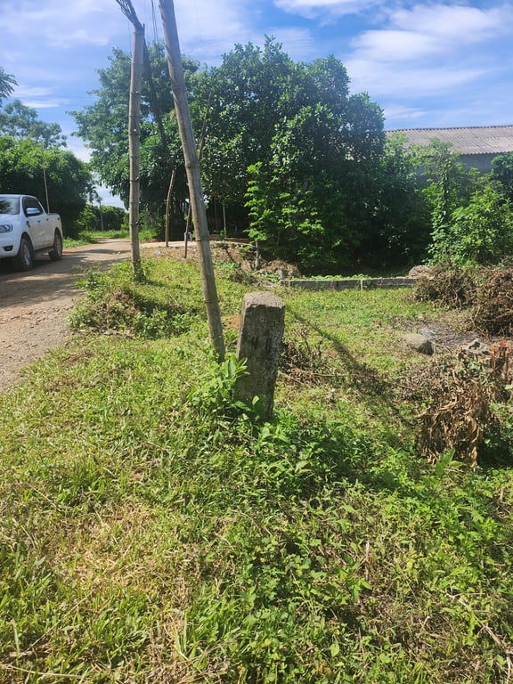 Mỹ Hòa, Tân Lạc, Hoà Bình. 1100m2