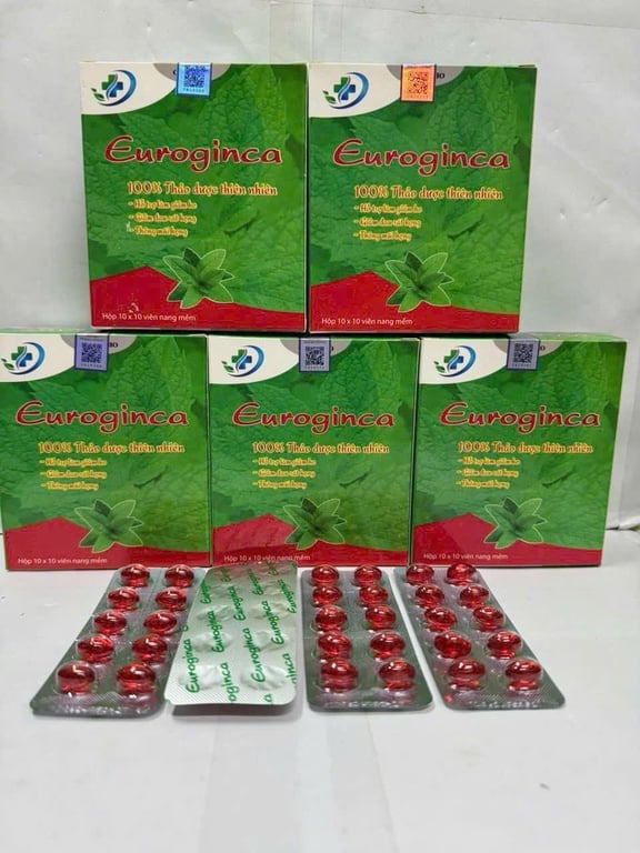 Euroginca đỏ h/100v