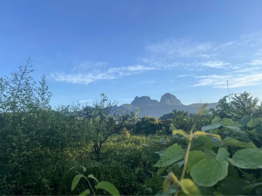 2020m2, sẵn 100m2 thổ cư tại Bắc Phong, Cao Phong, Hoà Bình