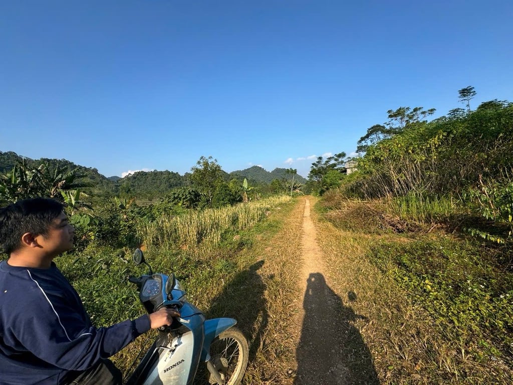 diện tích 3.590m2 đất trồng cây lâu năm, sẵn quy hoạch thổ cư tại Đà Bắc, Hoà Bình chỉ hơn 300tr